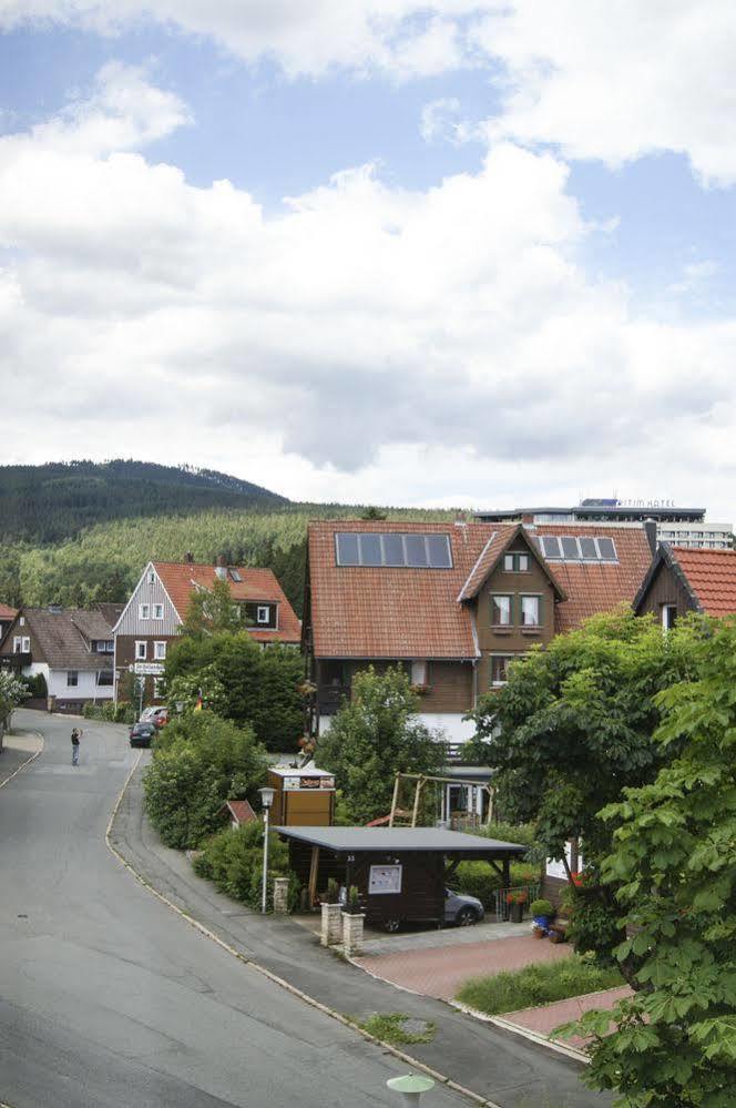 Strandberg'S Harzchalet Braunlage Ngoại thất bức ảnh